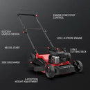 PowerSmart 21 in. Gas Lawn Mower with 125cc Briggs and Stratton E300 Engine, 2-in-1 Push Mower with Mulching & Side-Discharge by GreenHaven Gardens