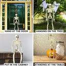 DINESIL 5 Packs Posable Halloween Skeleton, Full Body Halloween Skeleton with Movable Joints, 16" Hanging Spooky Skeletons for Halloween Haunted House Party Home Props Decorations by GreenHaven Gardens