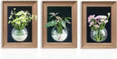 Walnut Wooden Frame Wall Hanging Planter for Hydroponic Plants，12'' x16''inch Wall Vase with Oblate-Shaped Acrylic Propagation Station，Bathroom, Office, or Living Room Decor, Set of 3 by CozyNest Decor