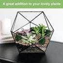 5 lbs Drainage Rocks for Potted Plants, 1/5 Inch Small Pebbles for Indoor Plants, Decorative Gravel for Vases, Bamboo, Succulent, Terrarium, Crafts, Cactus by CozyNest Decor