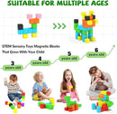 Magnetic Blocks for Toddlers -Classroom Must Haves STEM Learning Toys for 3-5 Year Old Boys & Girls, Safe & Strong Building Blocks with ASMR Sounds,Ideal Gifts for Kids 3+ by TinyTreasures Baby Boutique