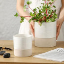 Nihow Self Watering Plant Pot: 4.5 Inch Ceramic Planter with Drainage Hole & Water Storage Plus for Indoor & Outdoor Plants - Cylinder Flower Pot for Herbs/Violets - White & Brown by CozyNest Decor