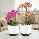 QCQHDU 2 Pack Orchid Pots with Holes for Repotting, Double-Layer and Self Watering Orchid Pot with Good Air Circulation by GreenHaven Gardens