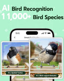 Bird Feeder with Camera, Smart Wild Bird Feeder for Outdoors with AI Identify, Solar Bird Feeder Watching Camera Auto Capture Birds & Real-time Notifications, Gifts for Birdlover (Arch) by CozyNest Decor