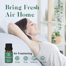 ASAKUKI Essential Oil Blends, Essential Oils for Diffusers for Home, Well-Being Kit- Calm Mind, Sweet Dreams, Happy, Relax, Air Freshening, Immunity for Aromatherapy, Humidifiers, Massage, 6x10ml by CozyNest Decor