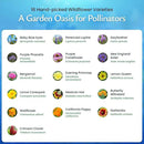 Created By Nature Bee & Butterfly Wildflower Seed Mix, 16 Varieties, 30,000 Seeds by GreenHaven Gardens