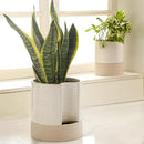 Nihow Self Watering Plant Pot: 8 Inch Ceramic Planter with Drainage Hole & Water Storage Plus for Indoor & Outdoor Plants - Cylinder Round Flower Pot for Succulent/Herbs/Violets - Cream White & Brown by CozyNest Decor