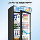 Commercial Beverage Refrigerator, 24 Inch Beverage Fridge, 15 Cu. Ft. Drink Fridge, Display Refrigerator Glass Door, Commercial Display Fridge with Customizable Light Box for Shops, Restaurants, Bars by CozyNest Decor