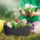 GREANER 12x3.8 Inch Herb Planters, 1 Pack Rectangle Window Boxes with Tray, Indoor Succulent Cactus Mint Plastic Pot for Windowsill, Balcony, Office, Outdoor Garden - Black by GreenHaven Gardens