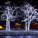Fairy Lights Plug in,66FT 200 LEDs Waterproof Led String Lights,Twinkle Light with 8 Modes Remote for Outdoor Indoor Christmas Wedding Birthday Garden Party Decorations,Cool White by GreenHaven Gardens