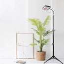 LBW Grow Light with Stand, Full Spectrum 150W LED Floor Plant Light for Indoor Plants, Grow Lamp with On/Off Switch, Adjustable Tripod Stand 15-48 inches by GreenHaven Gardens