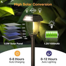 XMCOSY+ Solar Lights Outdoor 10/25 LM LED with 2 Lighting Modes, Solar Garden Lights Glass and Metal, IP65 Waterproof Solar Powered for Yard Pathway Walkway Driveway Patio (6 Pack, Warm White) by CozyNest Decor