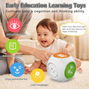 Bilingual Educational Baby Toy - Musical Learning Cube Baby Sensory Cube 6-in-1 with Lights Music for 6-18 Months, Toddler Activity Toy for Home Travel First Birthday Gift for 1 Year Old Boys Girls by TinyTreasures Baby Boutique