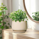 G EPGardening Ceramic Planter - 7 Inch Plant Pots with Drainage and Ceramic Tray, Flower Pots for Indoor Plants, Round Outdoor Planter, Room Decor, Gifts for Plant Lovers, Beige by GreenHaven Gardens