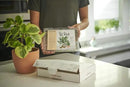Osmocote PotShots: Premeasured House Plant Food, Feed for up to 6 Months, 25 Nuggets by GreenHaven Gardens