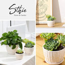 Ceramic Plant Pots with Drainage Holes and Saucers, Round Flower Pots for Indoor Plant, Diameter 3.3/4.3/5.5 Inches Small Flower Planters Set of 3 by CozyNest Decor