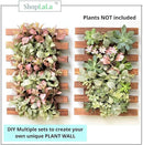 ShopLaLa Wall Planter - 2 Pack Wooden Orchid Planter Frame Display Outdoor Plants, Wall Mount Air Plants Succulent Holder Hanger, Vertical Garden Plant Wall Decor Macetas para Orquideas 15.7" (40cm) by GreenHaven Gardens