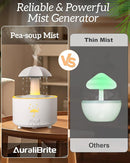 Aesthetic 2-in-1 Humidifier Oil Diffuser with 360° Rotating Raindrop & 7 LED Mood Lights,Ultrasonic Quiet Cool Mist Humidifier for up to 24 Hrs,Ideal Holiday Gifts for Home by TinyTreasures Baby Boutique