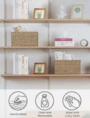 StorageWorks Wicker Storage Basket for Organizing, Medium Seagrass Storage Baskets with Built-in Handles for Pantry, Shelves,2-Pack by CozyNest Decor