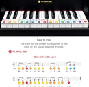 MUSICUBE Kids Piano Keyboard 25 Keys Digital Piano for 3-7 Years Old Beginner Girls Boys First Mini Piano Toys Educational Musical Instrument Gift Choice (Range: C4-C6) by TinyTreasures Baby Boutique