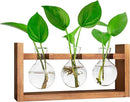 Plant Propagation Station,Plant Terrarium,Plant Starter,Gifts for Plant Lovers,Glass Bulb Terrarium with Retro Solid Wooden Stand for Hydroponics Plants Home Garden Wedding Décor (3 Bulbs) by GreenHaven Gardens