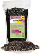 Hoya Plant Premium Potting Mix - 3 Quart - Optimal Balance for Thriving Hoyas: Air, Moisture, and Nutrient Retention by GreenHaven Gardens