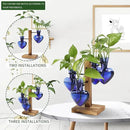 Plants Propagation Stations Plant Terrarium Kit Glass Planters for Indoor Plants House Plant Accessories Gift for Women - 4 Love Bulb Vase by GreenHaven Gardens