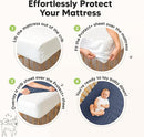Waterproof Crib Mattress Protector Cover Fitted - 2-Pack Quiet Baby Crib Mattress Pad Sheets, 52" x 28" Soft Quilted Cotton Baby Sheet, Machine Washable, Easy Fit, Durable (Soft Fern/Quin) by TinyTreasures Baby Boutique
