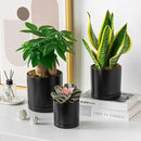 vancasso Ceramic Plant Pots, 3 Piece Planters for Indoor Plants, 4.25+5.25+6.25 Inch Flower Pots with Drainage, Plant Pots Indoor for Succulent, Pothos, Snake Plant and Money Tree, Etc (Black) by GreenHaven Gardens