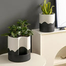 Nihow Self Watering Plant Pot: 8 Inch Ceramic Planter with Drainage Hole & Water Storage Plus for Indoor & Outdoor Plants - Cylinder Round Flower Pot for Succulent/Herbs/Violets - White & Wave Black by CozyNest Decor