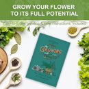 5 Herb Seeds Garden Starter Kit with Complete Planting Kit & Wooden Flower Box, Growing into Basil, Parsley, Rosemary, Thyme, Mint for Kitchen Windowsill Herb Garden DIY by GreenHaven Gardens