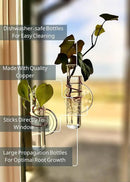 The Little Window Propagator | Window Propagation Station with Removable Glass Tubes, Indoor Plant Clippings, Cut Flowers, Herbs, Succulents | Home Decor | Plant Lover Gift (2) by GreenHaven Gardens