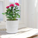 Plant Pots - 6.7 Inch Cylinder Ceramic Planters with Connected Saucer, Pots for Succuelnt and Little Snake Plants, Set of 2, White by GreenHaven Gardens