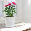 Plant Pots - 6.7 Inch Cylinder Ceramic Planters with Connected Saucer, Pots for Succuelnt and Little Snake Plants, Set of 2, White by GreenHaven Gardens