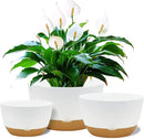 8/10/12 Inch Pots for Indoor Plants, Large Self Watering Planters with Drainage and Saucers, Plastic Outdoor Flower Pot, Set of 3, White by GreenHaven Gardens