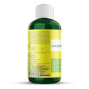 Organic Premium Kelp Seaweed Concentrate for Jade - Liquid Fertilizer - Liquid Plant Food - Nutrient-Rich Soil Enhancer - Natural Plant Food for Jade Plant (8 OZ), OLKC-16 by GreenHaven Gardens