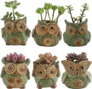 Ogrmar 6Pack Owl Plant Window Boxes Cute Owl Flower Pot/Modern Ceramic Succulent Planter Pots/Tiny Flower Plant Containers Animal Decor by GreenHaven Gardens