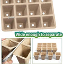 TCBWFY Biodegradable Seedling Trays, 20 Pack, 320 Cells, Ideal for Indoor and Outdoor Planting, Mint, Lavender, Rose by GreenHaven Gardens