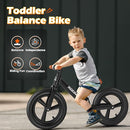Ridego 12 or 14 Inch Balance Bike for Kids 2-6 Year Old,Lightweight Kids Bike with Adjustable Seat, Push Bicycle with Air Rubber Tires，Ride-on Toys Birthday Gift by TinyTreasures Baby Boutique