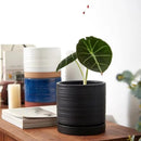 6 Inch Plant Pots, Ceramic Planter Pot with Drainage Hole & Saucer, Indoor/Outdoor Cylinder Round Planter Pot, Matte Black by CozyNest Decor