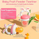 WAJIAYON Baby Fruit Feeder Pacifier - 6 Pack | 2 Infant Food Feeder Pacifier & 2 Baby Food Dispensing Spoon | Fresh Fruit Teethers for Babies | Silicone Feeder Babies,Infant Teething Feeders -Pink by TinyTreasures Baby Boutique