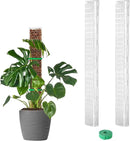 EOX 2 Pcs 24 Inch Plastic Moss Pole for Plants Monstera, Plant Poles for Climbing Plants, Plant Support for Indoor Plants Work with Sphagnum Moss, 45 Inch Moss Pole Set of 2, Garden Ties by GreenHaven Gardens