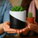 D'vine Dev 3.5 Inch Ceramic Planter Pot with Drainage Hole and Saucer, Indoor Cylinder Round Planter Pot, Oblique Monochrome Black and White, 94-O-A-K by GreenHaven Gardens