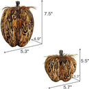 naturevibe 7.5/5.5 Inches Elegant Feathered Pumpkin Decor,Set of 2 Thanksgiving Decorations Natural Feather Pumpkins as Fall Home Decor,Centerpieces for Tables or Autumn Harvest Gifts by CozyNest Decor