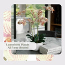 Faux Orange Orchid Plant, Premium Artificial Indoor Flower Display Stands 23”, Beautiful Sculptural Blooms That Lasts Forever, White Planter Pot Included by CozyNest Decor