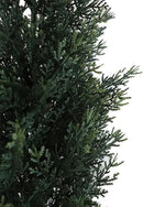 momoplant Artificial Topiary Cedar Tree Outdoor Uv Resistant, 5.5 Ft Faux Cypress Toparies Trees 67 Inch Fake Plant【2 Pack】 with Black Pot by GreenHaven Gardens