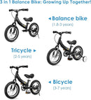 Balance Bike 2 in 1,The Dual Use of a Kids Balance Bike and Toddler Bike, for 2 3 4 5 6 7 Years Old -12 14 16 Inches with Training Theory, Brake, Pedal by TinyTreasures Baby Boutique