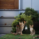 Set of 2 Realistic Cats Metal Stakes Solar Lantern Decoration, Cute Cats Stakes with Solar Lantern for Yard, Outdoor Garden Lawn Pathway Patio Ornaments, HDS-1021 by GreenHaven Gardens