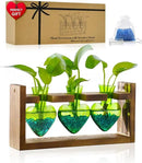 Nacome Plant Terrarium for Office Decor: Birthday Gifts for Plant Lovers Women Mom Wife - Wooden Stand Tabletop Planter 3 Bulb Glass Vase Heart Shaped for Hydroponics Indoor Home(Green) by CozyNest Decor