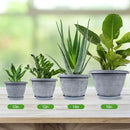 16 Inch Large Planter Pot for Plants Indoor Outdoor, 4 Pack Plastic Flower Pots with Drainage Hole & Tray, Modern Decorative Garden Pot with Saucer, Plant Container for House by GreenHaven Gardens